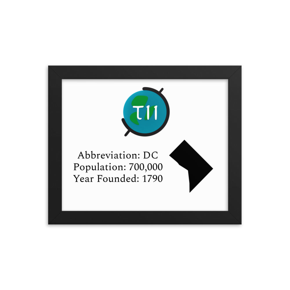 TII - Limited Edition Washington D.C. Print (Framed)